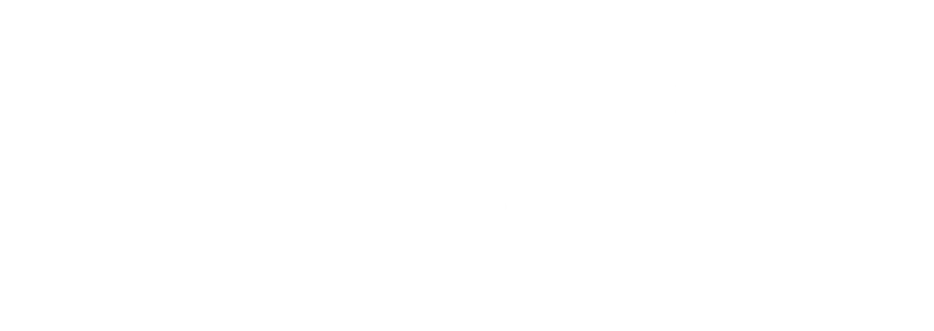 UI Path Logo White